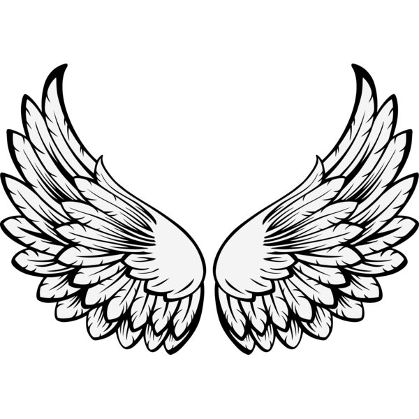 ES3wing15clr Thumbnail