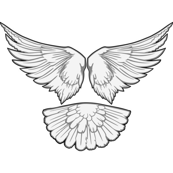 ESwings015clr Thumbnail