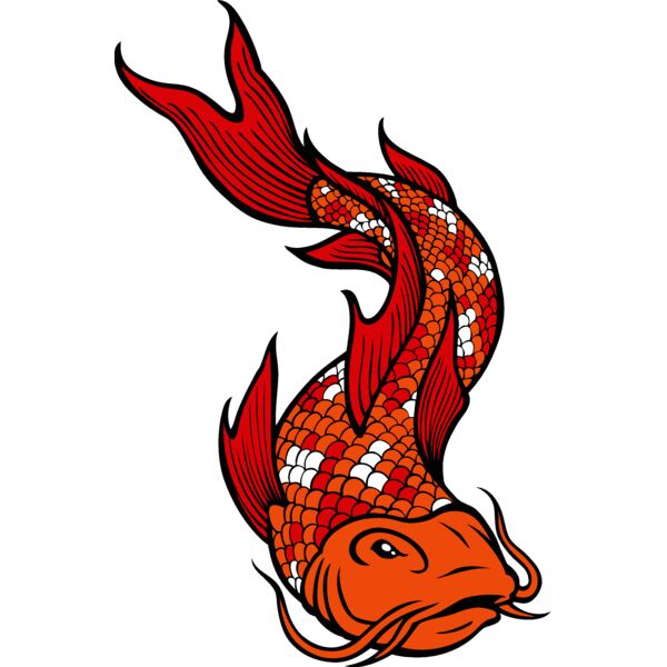 es2asiankoi002clr Thumbnail