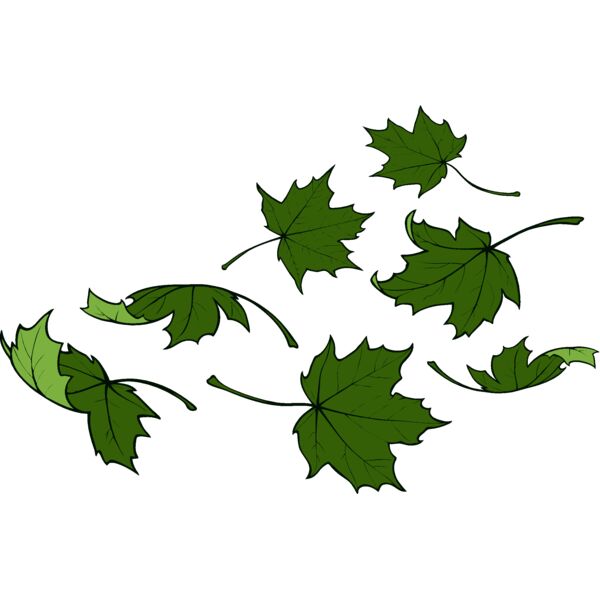 es2leaves001clr Thumbnail