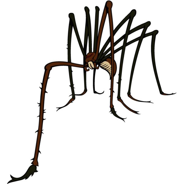 es3spider02clr Thumbnail