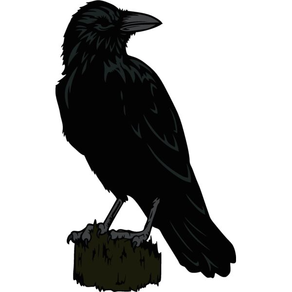 es2raven003clr Thumbnail