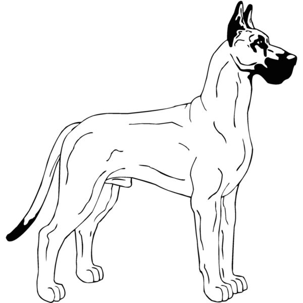 great dane Thumbnail