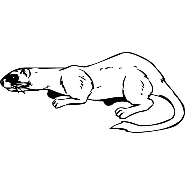 mongoose Thumbnail