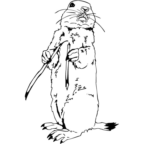 prairiedog01 Thumbnail