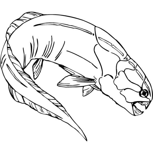 armored dunkleosteus Thumbnail
