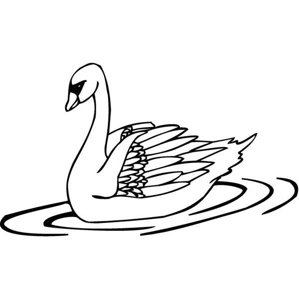 swan Thumbnail