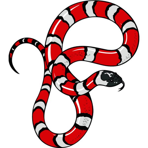 snake12v4clr Thumbnail