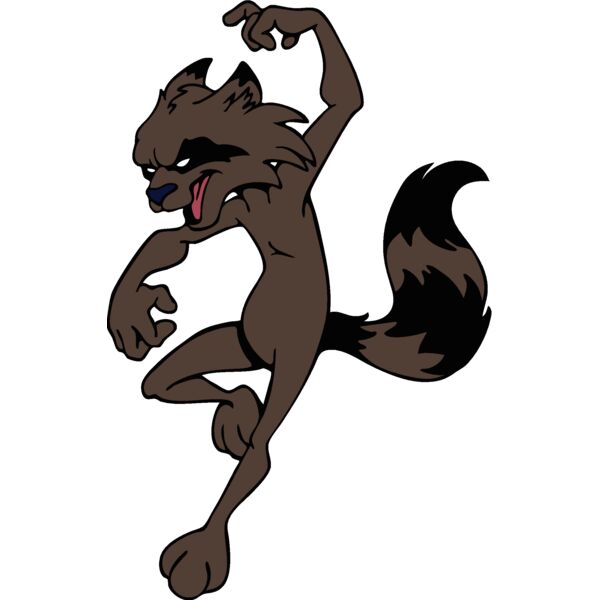 raccoonmsct05 Thumbnail