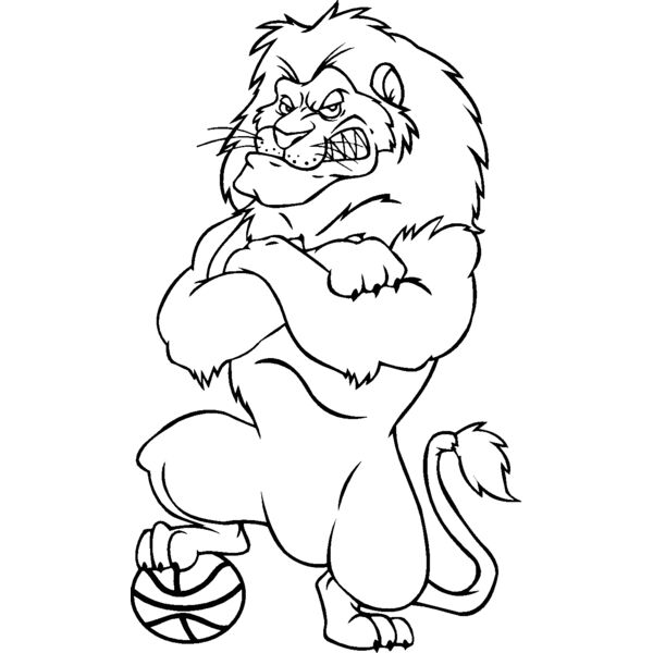 lionbsktblbns Thumbnail