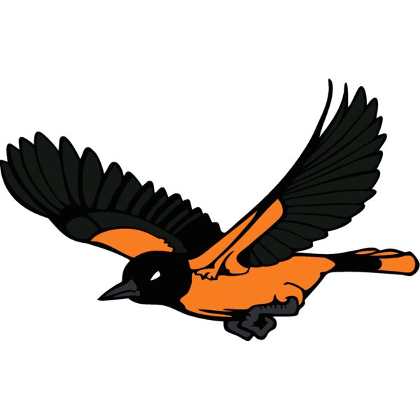 oriolemsct7 Thumbnail