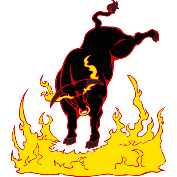 flamingbull Thumbnail