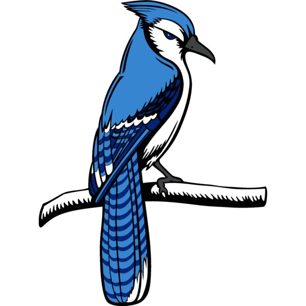 bluejay15 Thumbnail