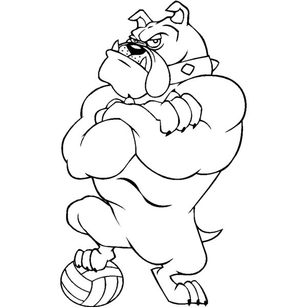 bulldogvolleyball Thumbnail