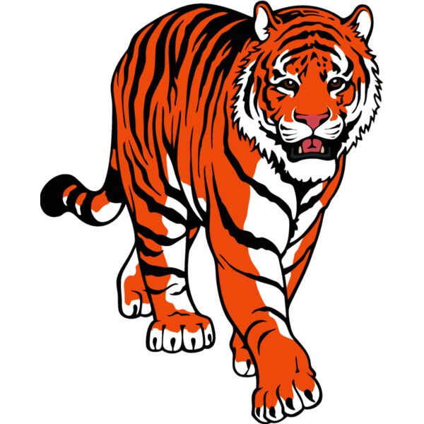 tiger15v4clr Thumbnail