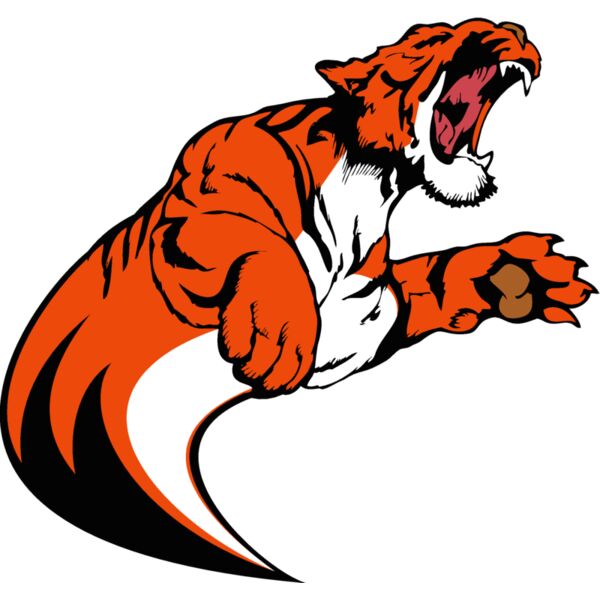 tiger17v4clr Thumbnail