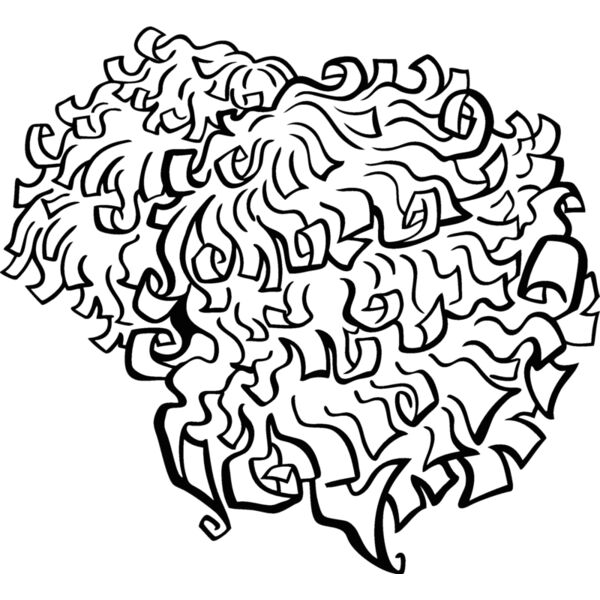 cheer15v4bw Thumbnail